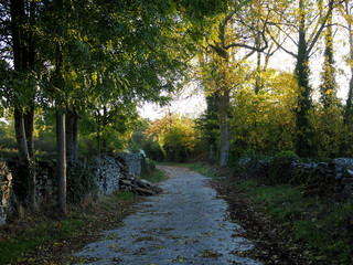 Camino rural entre muros de piedra