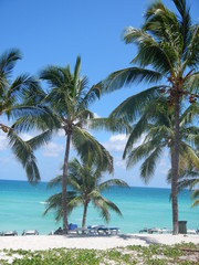 Obraz premium Urlaub