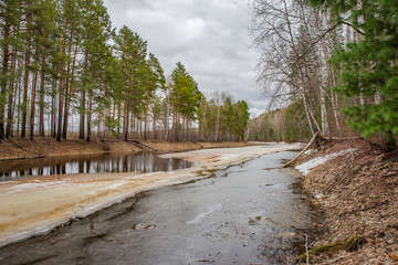 Spring landscape, forest, river, ice, gloomy day, thunderclouds.