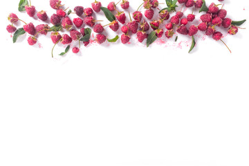 Fresh organic raspberries on white. Fruit background with copy space. Summer and berries harvest concept. Vegan, vegetarian, raw food. Banner