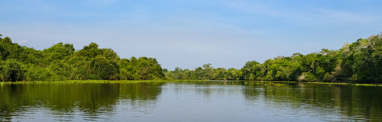 Panorama of typical Pantanal river scenery in afternoon light,  vegetation reflected on water,...