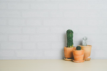 Succulents or cactus in clay pots on wooden table and gray brick wall.