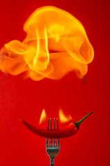 chili pepper red on fire, burning pepper, hot pepper, on a red and black background.