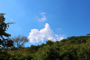 空　雲　森　秋　杤木