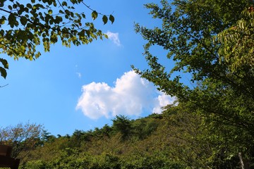 空　雲　森　秋　杤木