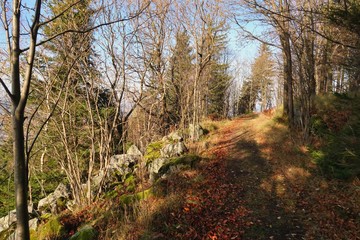 Obraz premium wandern auf dem pöhlberg
