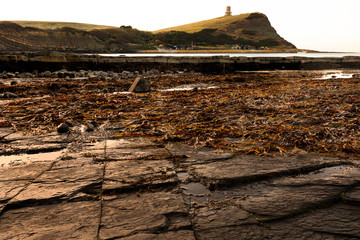 Kimmeridge, Dorset, England