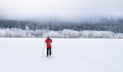 Woman skate skiing in a barren wintry wilderness of the Methow Valley, with a snow-covered pine forest in the distance - Washington, USA 