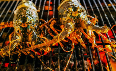 Lobster grill steamed flames sizzling Food Background