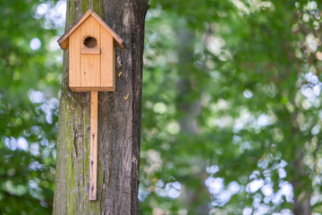 Yellow wooden bird house on a tree trunk in green park outdoors.