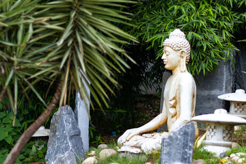 Wide shot of Gautam Buddha statue with trees and rocks. Meditation and peace concept