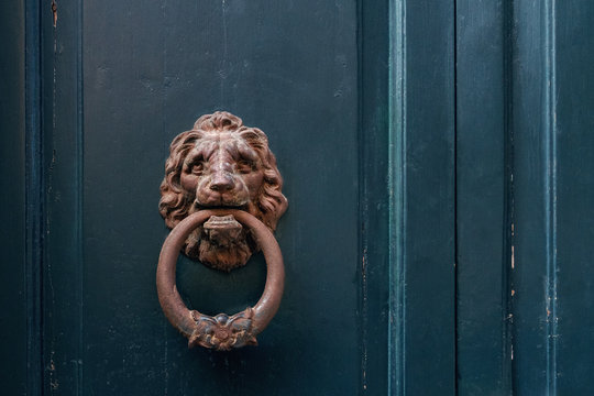 steel door handle in the form of lion head on old house in Pisa, Italy