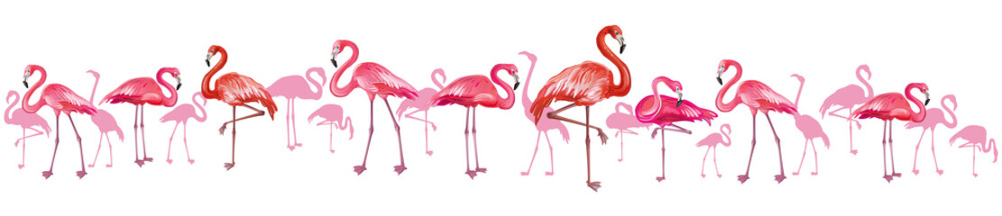 Horizontal background with flamingoes - obrazy, fototapety, plakaty