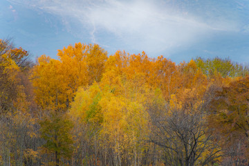 晩秋色に染まる