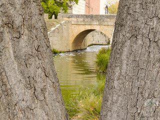 Fototapeta na wymiar Canal de Castilla, Palencia. Puente, reflejos