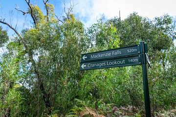 sign of direction in the forest