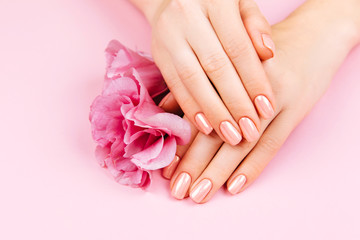 Beautiful Woman Hands with fresh eustoma. Spa and Manicure concept. Female hands with pink manicure. Soft skin skincare concept. Beauty nails. Over beige background