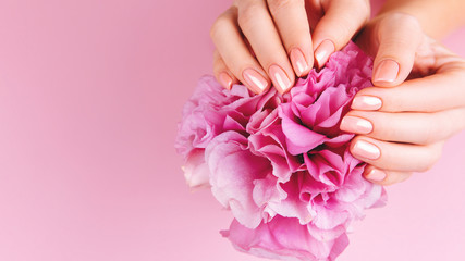Beautiful Woman Hands with fresh eustoma. Spa and Manicure concept. Female hands with pink manicure. Soft skin, skincare concept. Beauty nails. Over beige background