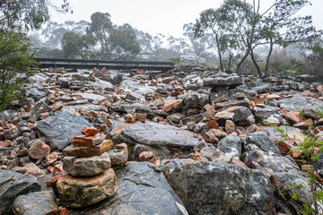 stones in the forest