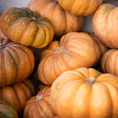 Orange and green pumpkins at outdoor farmer market. Colorful autumn Thanksgiving background.
