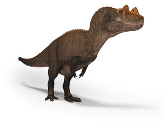 Concept dinosaur tyrannosaurus 3d rendering on white background with shadow