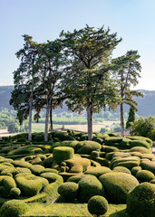 Fantastic summer landscape in the park with geometrically trimmed shrubs. Travel France.	