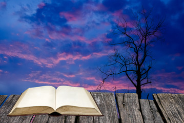Open book on wooden table with silhouette of dried tree with twilight sky
