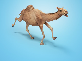 Camel run 3d rendering on blue background with shadow