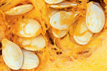 Extreme close up, focus stacked, macro image of the inside of a pumpkin