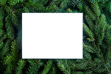 Fototapeta na wymiar Christmas tree branches background. Christmas frame. Holiday's Background Happy New Year. Christmas tree frame. Design for banner, post