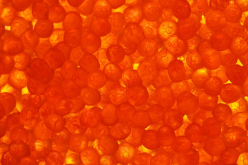 Red caviar macro. Background salmon and trout red caviar, seafood. Expensive delicatessen, gourmet food closeup. Backlit