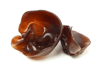 black fungus on white background 