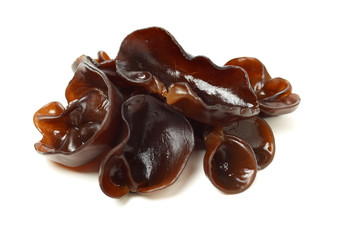 black fungus on white background 