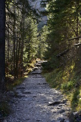 Gorge in the Western Tatras, White Valley, Dolina Bialego  © Albin Marciniak