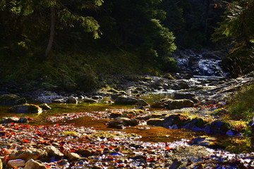 Gorge in the Western Tatras, White Valley, Dolina Bialego 