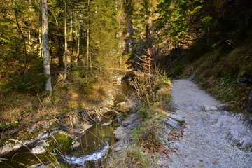 Gorge in the Western Tatras, White Valley, Dolina Bialego 