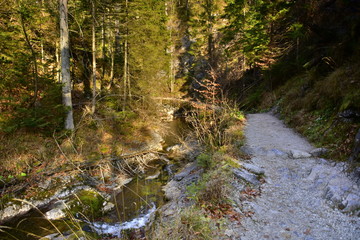 Gorge in the Western Tatras, White Valley, Dolina Bialego  © Albin Marciniak