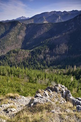 Sarnia Skała Tatry Zachodnie Polska