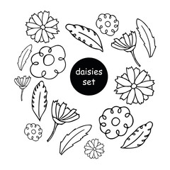daisies and leaves set. flower collection in hand drawn doodle retro style. elements for the design of posters, cards, stickers, stationery