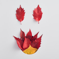 Autumn forest leaves flat lay