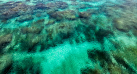 Close background view of crystal clear ocean water with coral reefs underneath it. 
