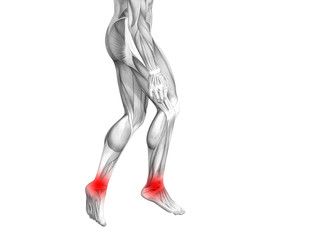 Obraz premium Conceptual ankle human anatomy with red hot spot inflammation or articular joint pain for leg health care therapy or sport muscle concepts. 3D illustration man arthritis or bone osteoporosis disease