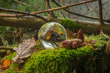 Glass ball lies on a tree stump overgrown with moss mirrored trees and sky