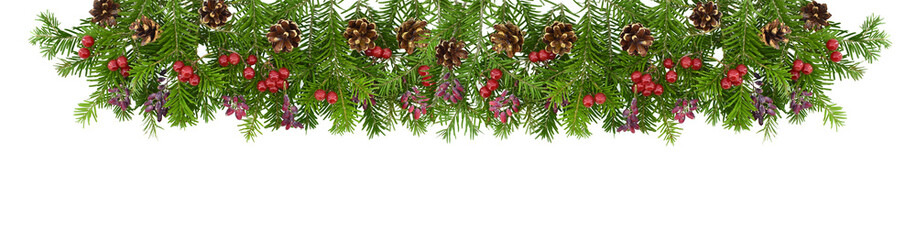 A traditional Christmas garland.  Sprigs of spruce decorated with berries of viburnum and barberry and cones. Isolated on white background.  Border.