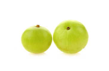 Emblica on a white background