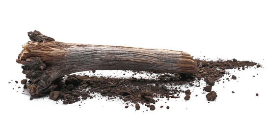 Decorative dry rotten branch in soil, dirt pile, wood for campfire isolated on white background