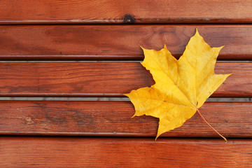 Naklejka na ściany i meble Yellow maple leaf on a wooden bench in the park. Beautiful autumn wooden background. Autumn mood, hello november, outdoor rest. Nature vibes and calm. Copy space, flat lay.