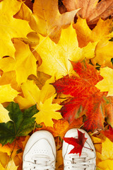 Legs in sneakers on a bright colored background from fallen autumn foliage, mock up. Beautiful...