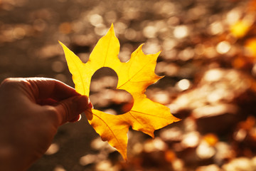 Yellow maple leaf with a heart shaped hole in the middle in the hand of a young girl or woman. Symbol of love, kindness and hope. Autumn fallen leaves on the road. Cozy atmosphere. © Olha