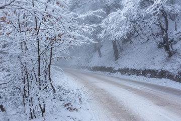 Landscape with snow-covered trees and road